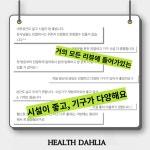 헬스달리아 부산기장점