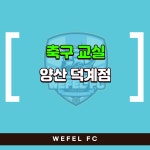 위펠 축구클럽 양산덕계점