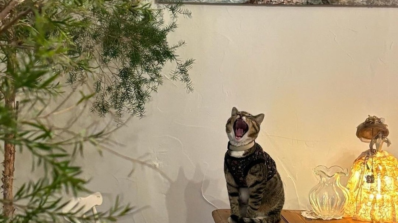 봄