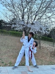 국가대표한숲HIT태권도장[유아체육/한숲시티/입시]