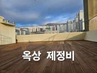 개멋진날