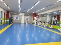 정진태권도 상도동