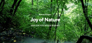 네파 포항오광장점