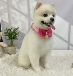 뽀솜뽀솜