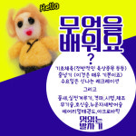 청아람 청운태권도장