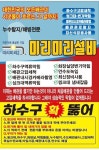 마당발