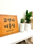묘리깡