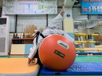 거인합기도 총본관