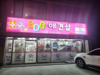 BOB 영등포점