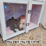 뽀송이네목욕탕