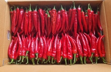 단양농부클라스