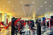 라이브휘트니스