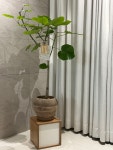 오엘에이치