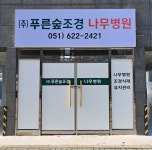 푸른숲조경 나무병원