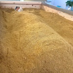 효소 해독찜질 테르엔 차암점