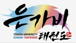 용인대 은가비 태권도장