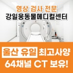 울산 강일웅동물메디컬센터