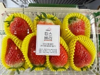 오늘앤과일 감일점