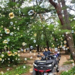 솔섬오토캠핑장