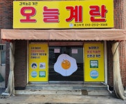 에그마켓 오늘계란