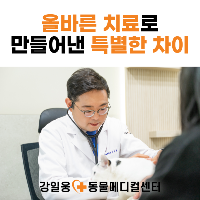 울산 강일웅동물메디컬센터