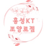 KT 호승텔레콤 조양로점
