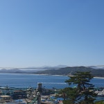 새샘하우스안경원