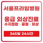 서울프라임병원