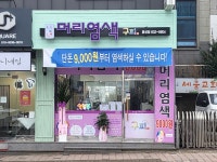 구피샵 충남홍성점