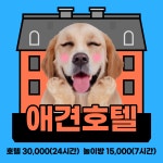에브리댕냥