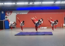 경희대대양태권도