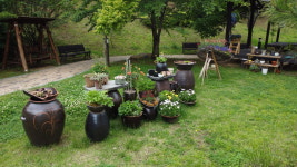 동해이레요양병원