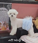 예쁘개해줄개