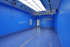 덱스워시 연경점