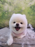 살롱드 멍