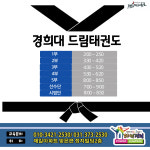 드림경희대태권도