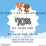 드림독 강아지고양이 안심분양센터 평택점