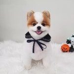 와르아르
