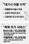 멜로우캣살롱