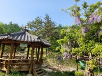 맑은물소리펜션