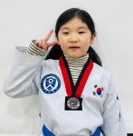 연세대최영석태권도