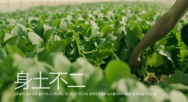 정읍댁김치마켓
