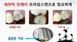 화이트치과의원