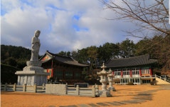 제주집