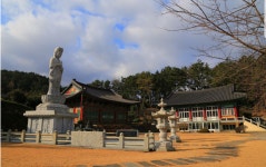 제주집