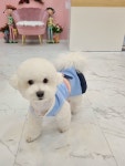나와놀개