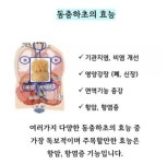 큐사랑 구성점