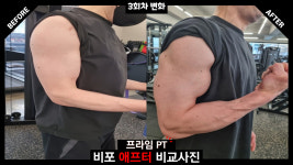 프라임 PT