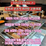 띵호아 양꼬치 마라탕