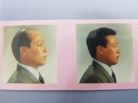 내포가발